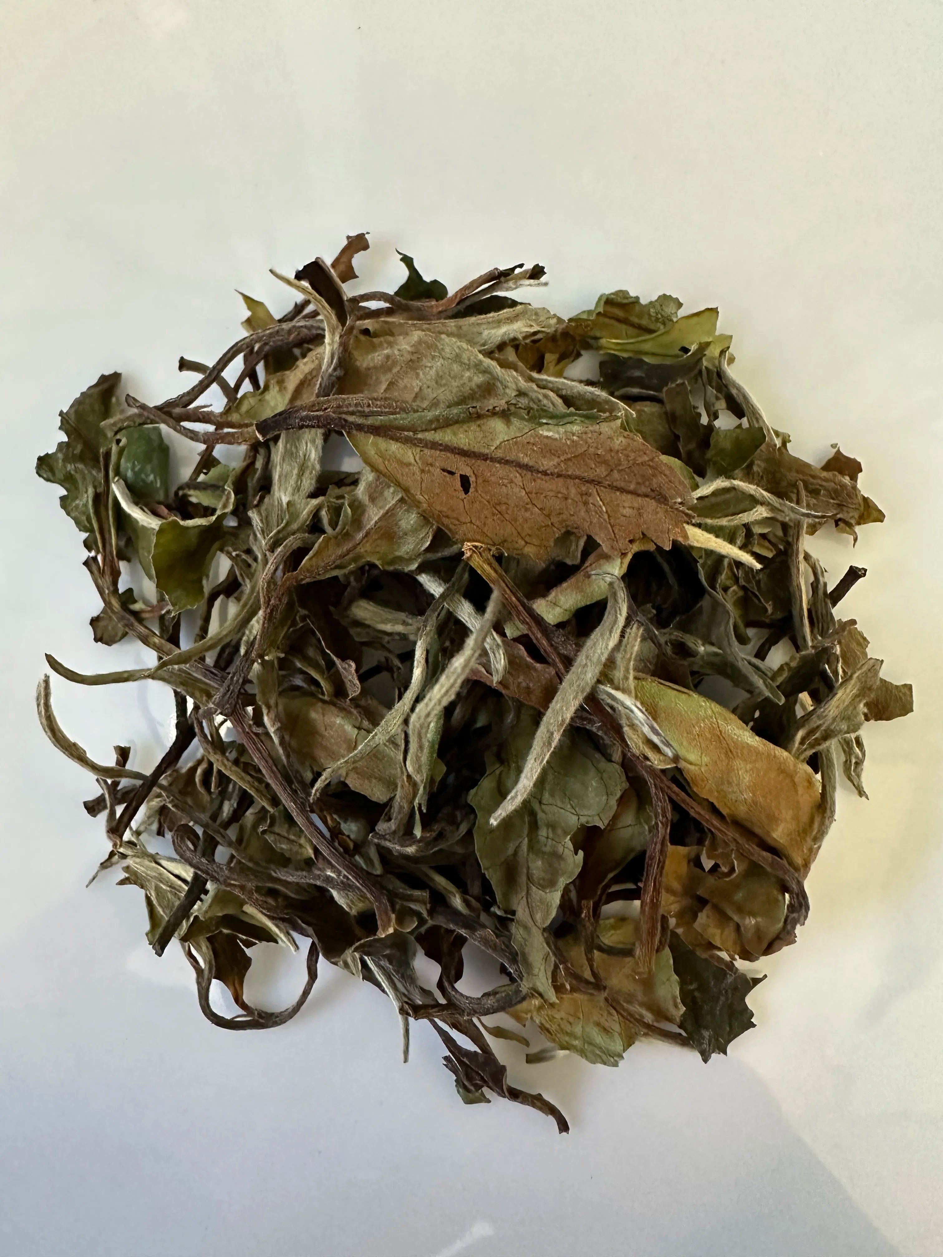 White Tea (Bai Mudan)